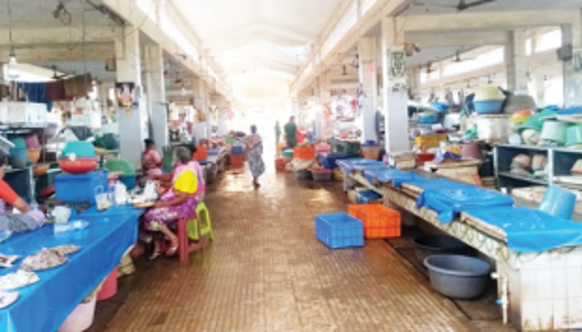SGPDA to open wholesale fish market from today