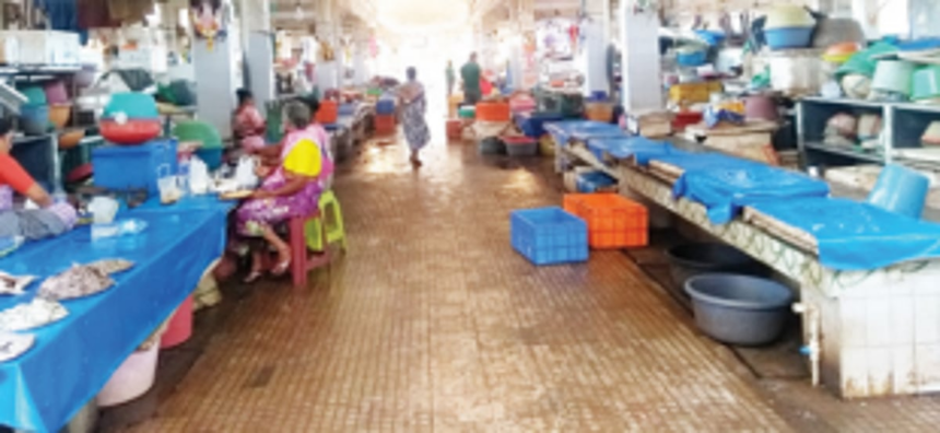 SGPDA to tender levy collection of wholesale fish market