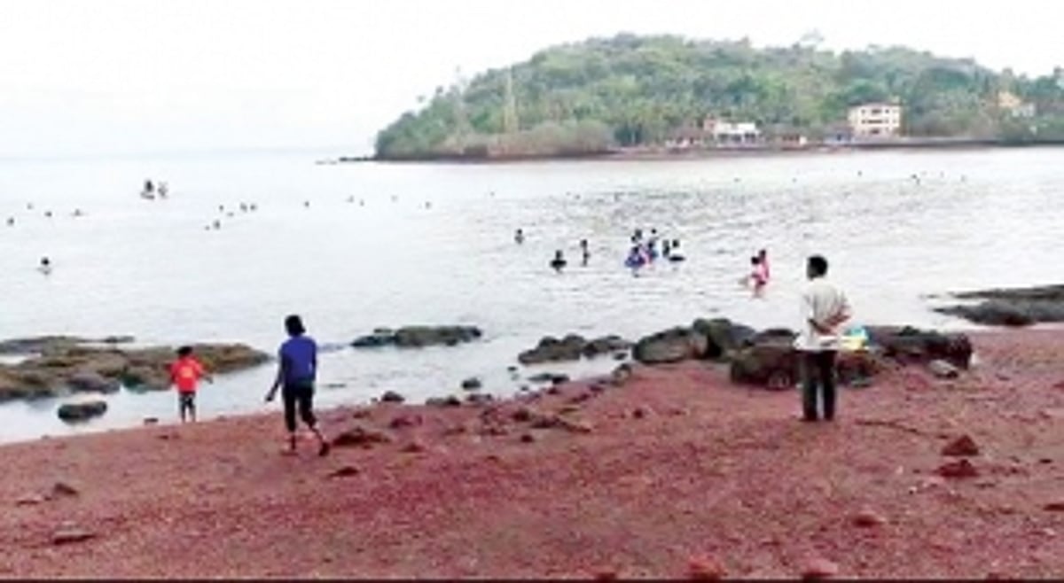 SHELLFISH GAINS: Overexploitation of windowpane oysters at Chicalim Bay leaves Greens worried