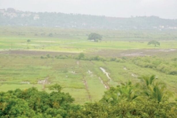 SIT(ting) on the files, not delivering justice to victims of fraudulent land deals!