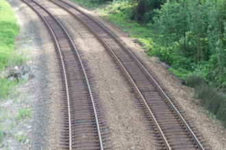 SO WHO PROTECTS THE WILDLIFE?