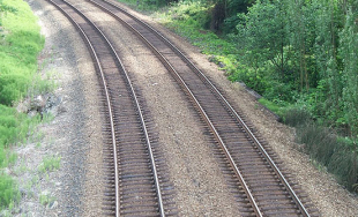 SO WHO PROTECTS THE WILDLIFE?