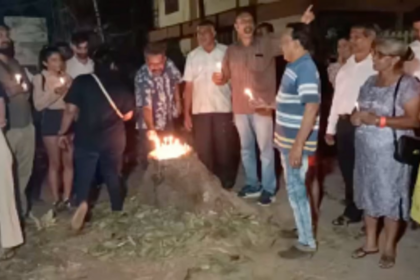 SPECIAL REPORT: Court, Greed Brigade rescues trees in Siolim