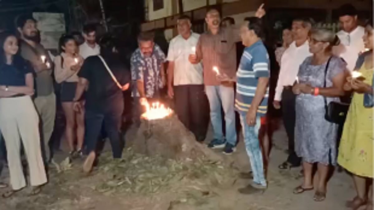 SPECIAL REPORT: Court, Greed Brigade rescues trees in Siolim