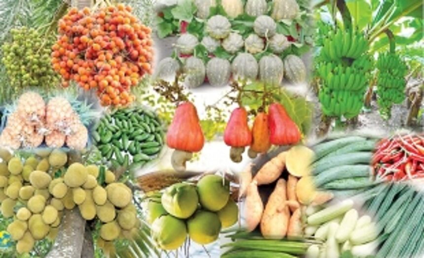STATE PLANS AGRI BOOST, CLIMATE PLAYS TRUANT 1 STATE PLANS AGRI BOOST, CLIMATE PLAYS TRUANT
