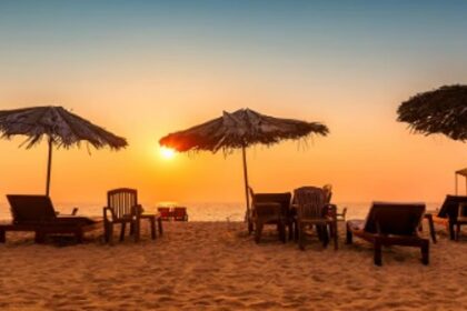 STREET VOICES: Is Goa tourism getting a bad name due to influencers or actual reality of tourism in Goa?