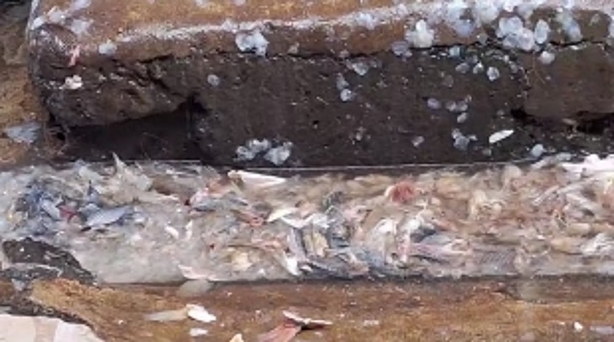 STREET VOICES: Is the filthy condition of Panjim fish market keeping away customers?