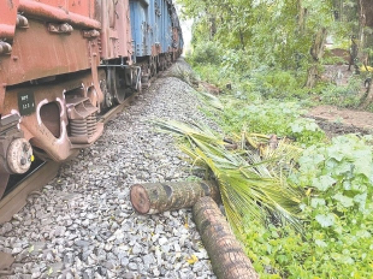 SWR slammed for felling trees on private land