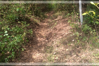 Sacorda villagers demand tarring of muddy road for development