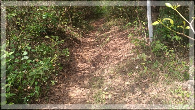Sacorda villagers demand tarring of muddy road for development