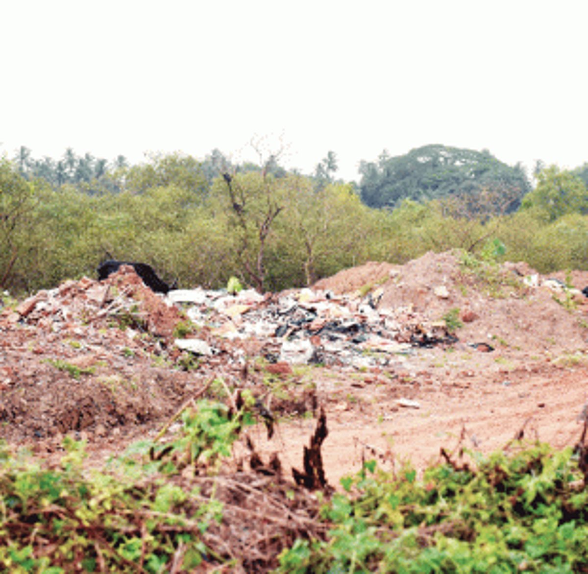 Sada locals demand permanent solution to garbage problem
