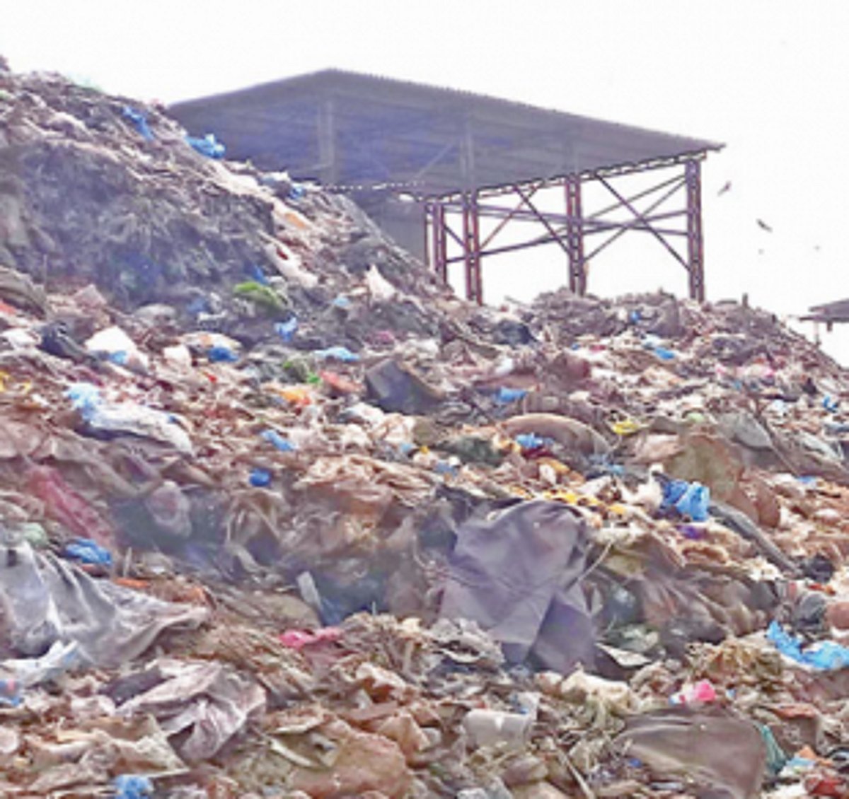 Sada plant treated 10k tonnes of waste in 10 days: Minister