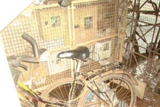 Safeguard electrical installations