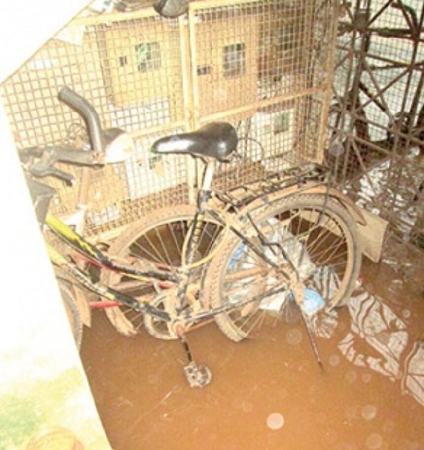 Safeguard electrical installations