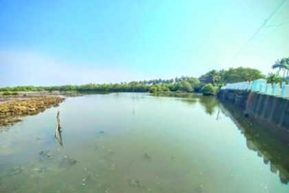 Safeguarding nature’s treasures, the wetlands of Goa