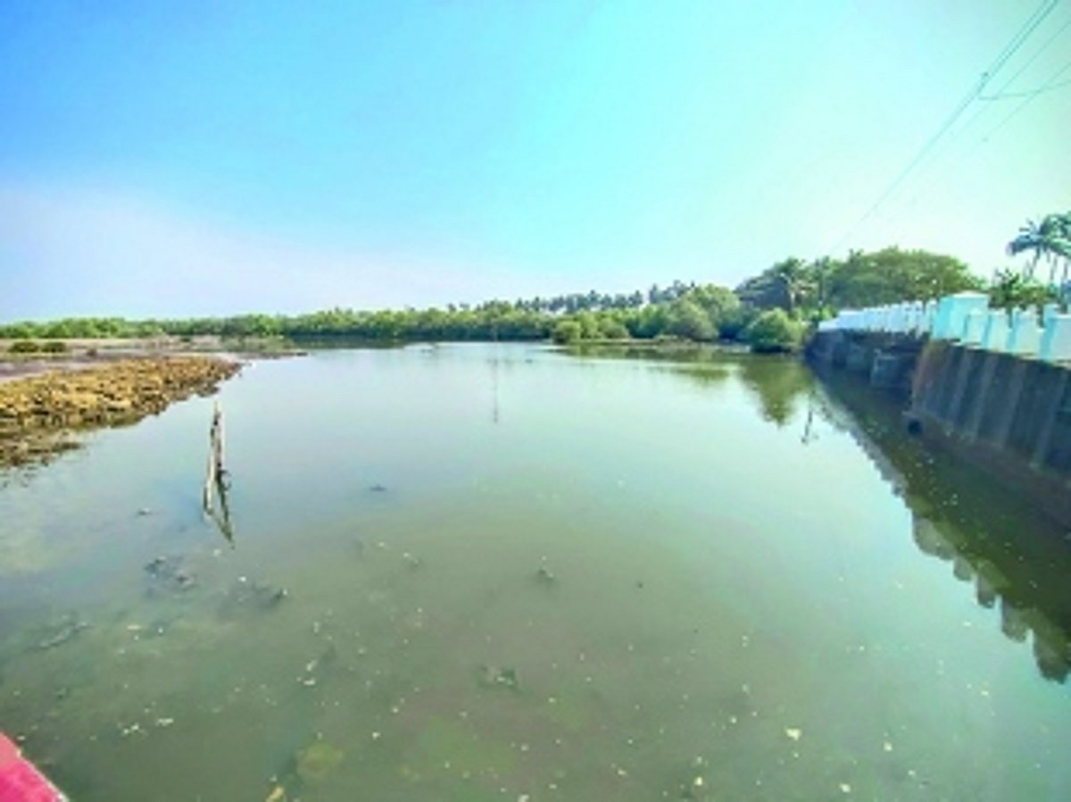 Safeguarding nature’s treasures, the wetlands of Goa