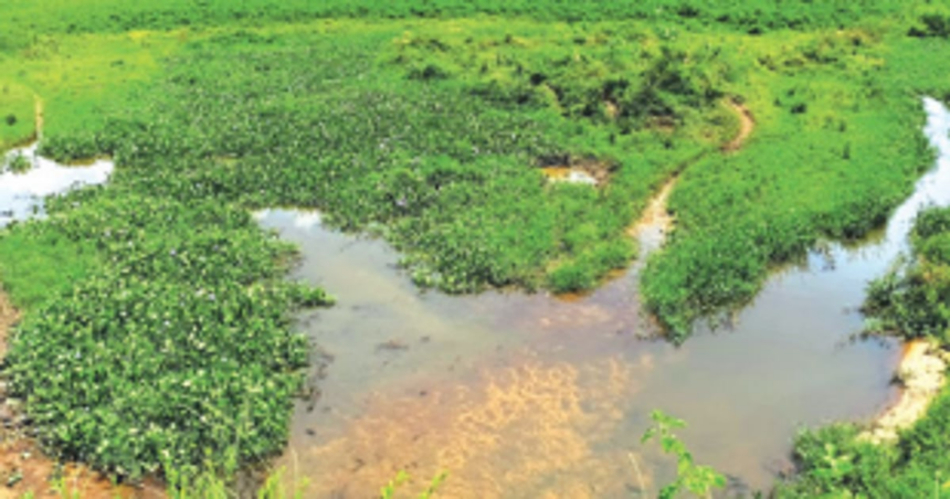 Saipem Lake contamination: All Azad Nagar houses to be connected to sewerage network soon, MMC assures HC