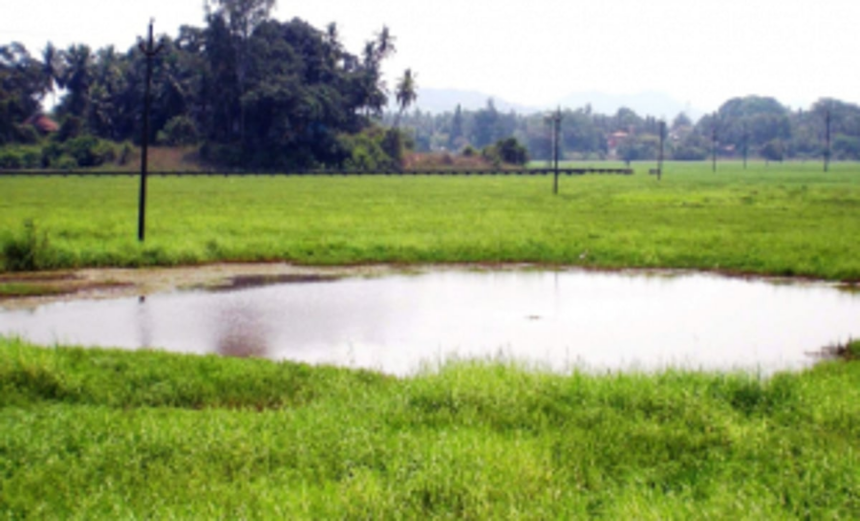 Saipem Lake pollution:  HC asks MMC, SIDCGL for timeline of STP works