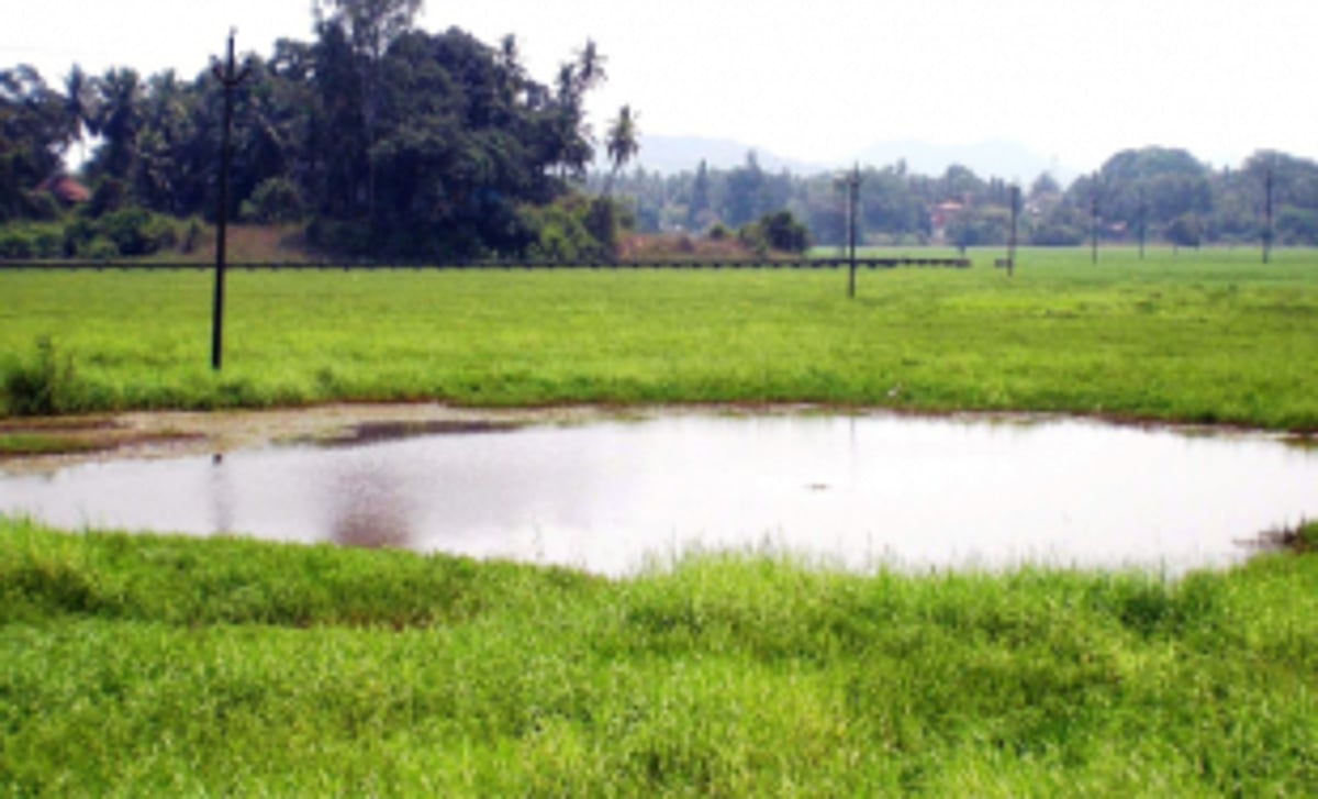 Saipem Lake pollution:  HC asks MMC, SIDCGL for timeline of STP works