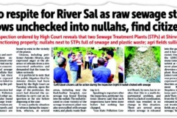 Saipem Lake pollution: Has Master Plan factored in Margao’s sewage disposal woes, asks HC petitioner