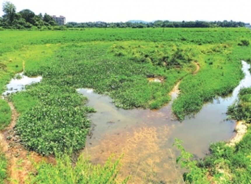 Saipem lake pollution: Petitioner demands action against houses with illegal water connections