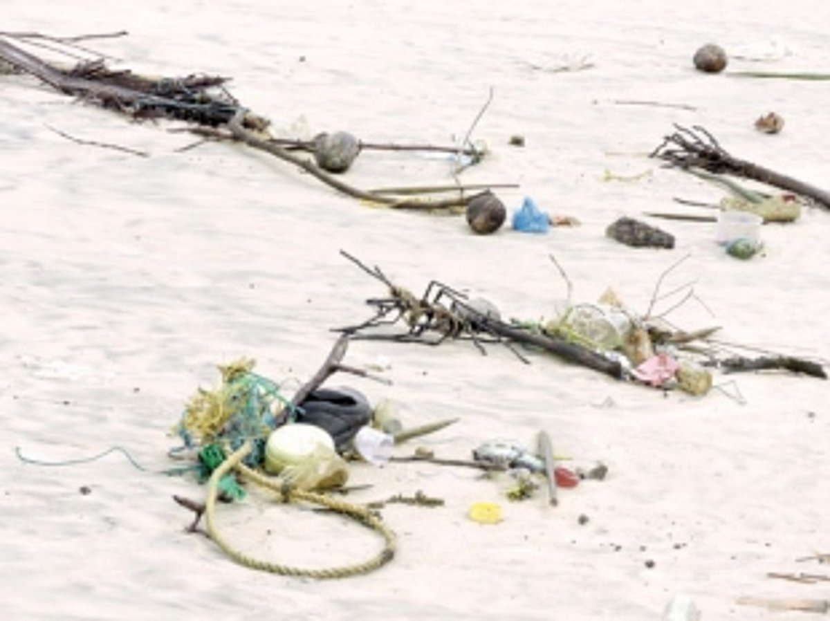 Salcete beaches not worthy of international tourist destination