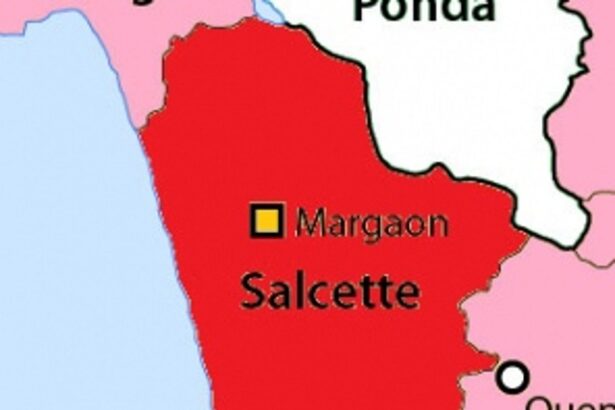 Salcete checks & balances BJP’s ZP march
