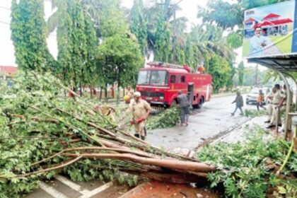 Salcete firemen tirelessly clear roads blocked by uprooted trees, landslides