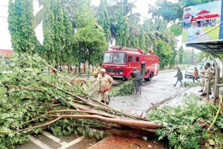 Salcete firemen tirelessly clear roads blocked by uprooted trees, landslides