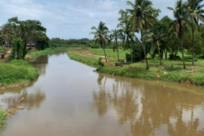 Salcete locals bemoan deteriorating conditions of River Sal