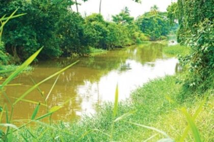 Salcete’s Sal River short of oxygen