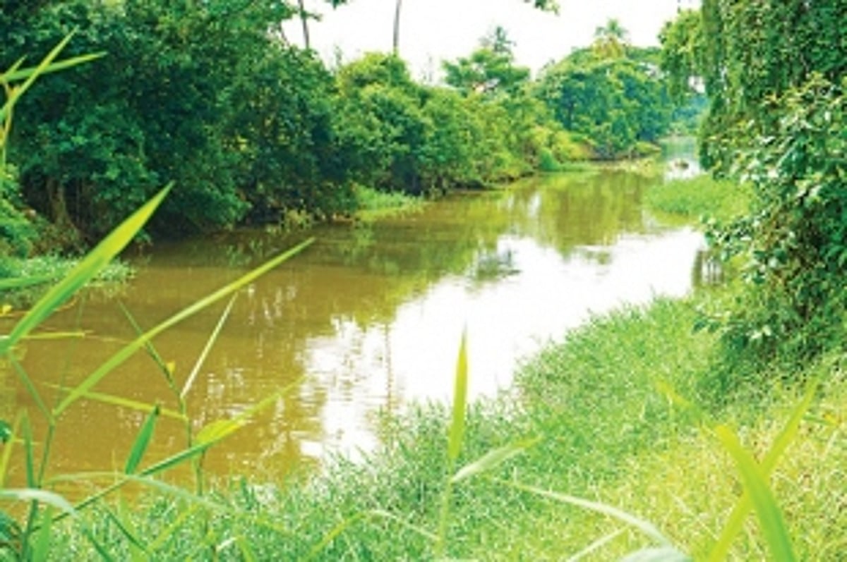Salcete’s Sal River short of oxygen