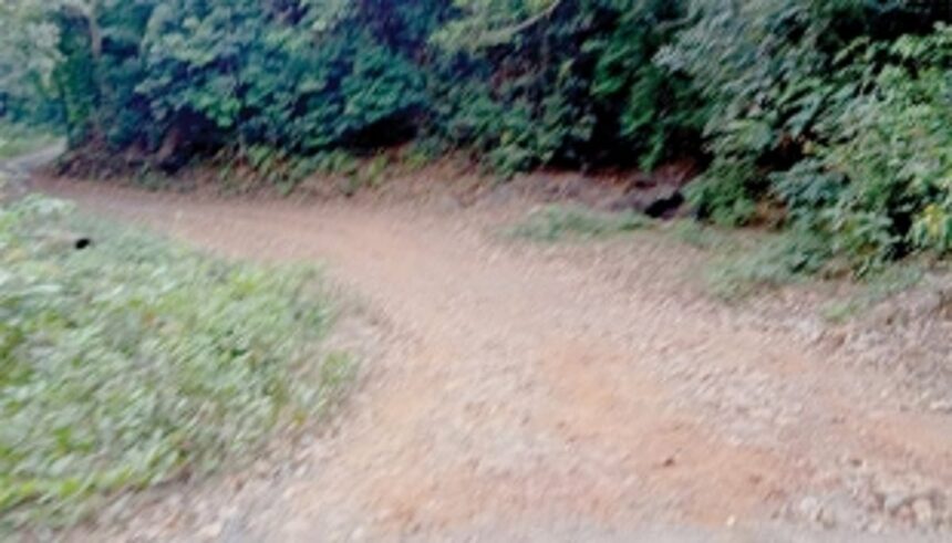 Salgini villagers urge Collector to take up road repairs