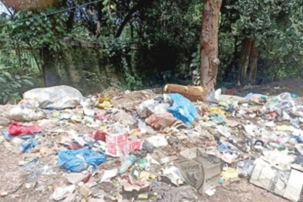 Saligao SWMF won’t accept garbage from Margao, Mormugao & Ponda: GWMC