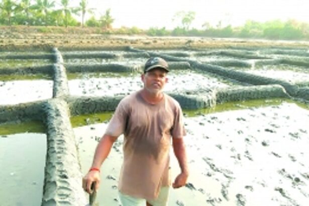 Salt of the Chapora: Goa’s traditional salt farmers battle modern pressures