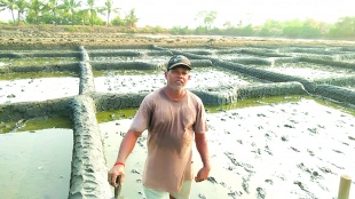 Salt of the Chapora: Goa’s traditional salt farmers battle modern pressures
