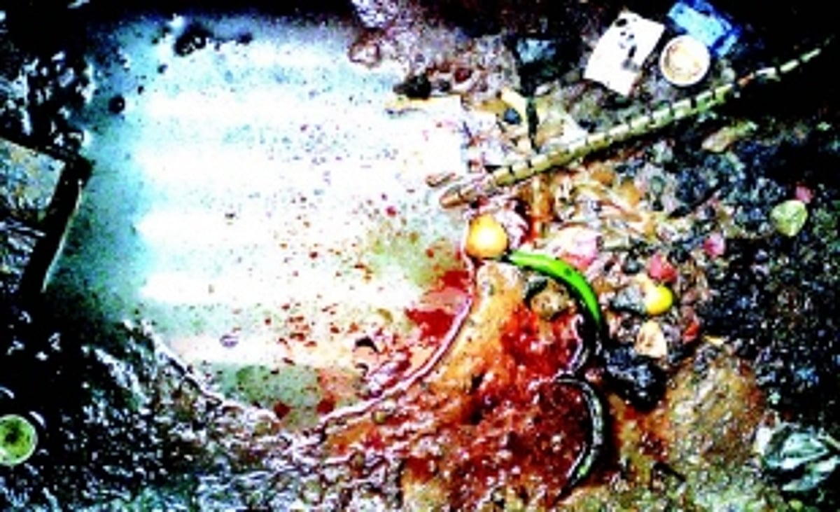 Samba Square Carnival leaves trail of garbage in drains, CCP assures to act