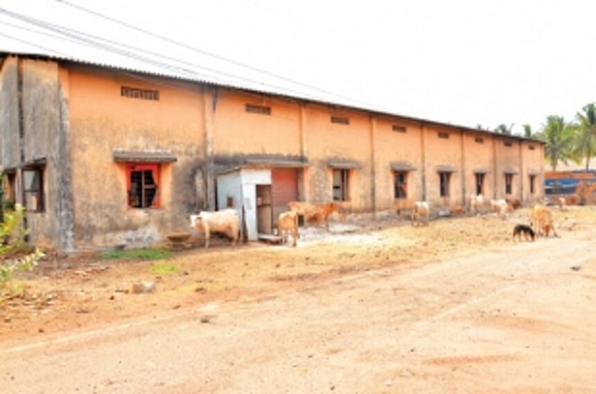 Sancoale Estate: Not fit for business 1 Sancoale Estate: Not fit for business