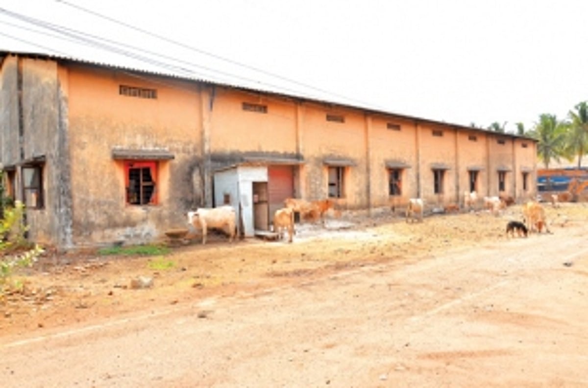 Sancoale Estate: Not fit for business