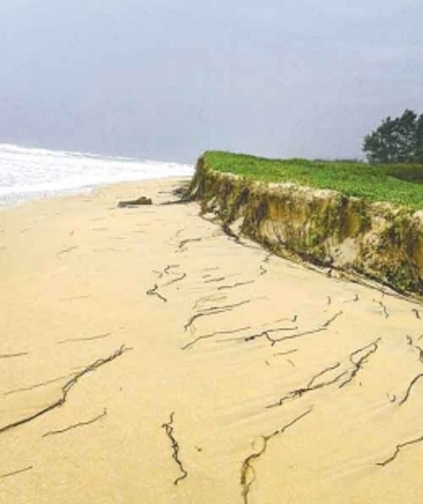 Sand dune erosion at Wadi alarms Benaulim villagers