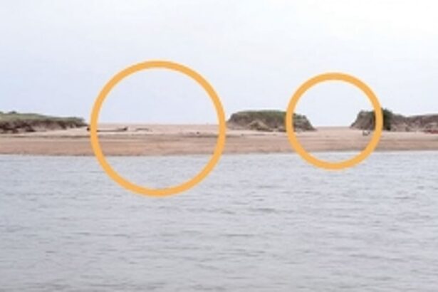 Sandbar on Galgibaga River partially  washed away due to swelling of sea