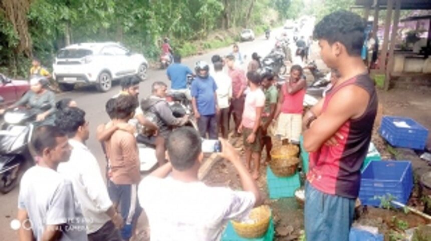 Sanguem Municipality stops sale of fish by the roadside