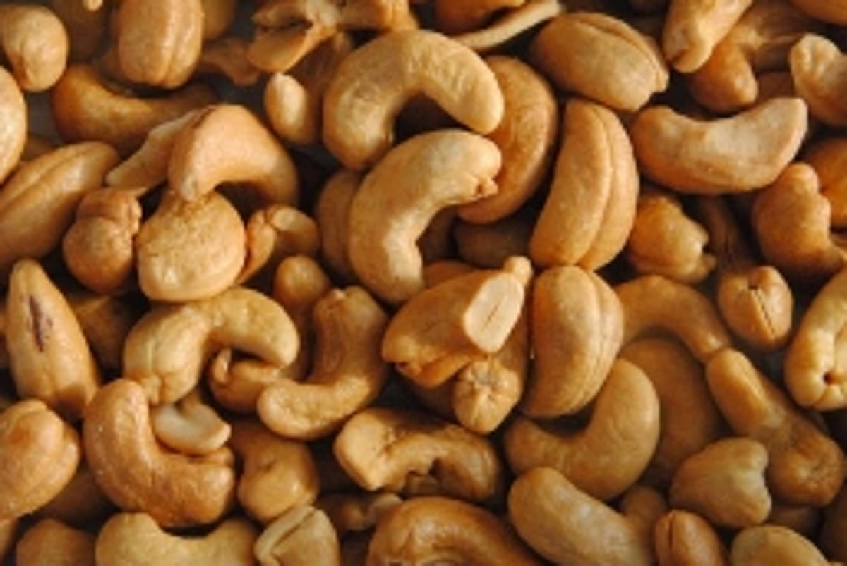Sanguem cashew farmers appeal  for subsidy and price regulation