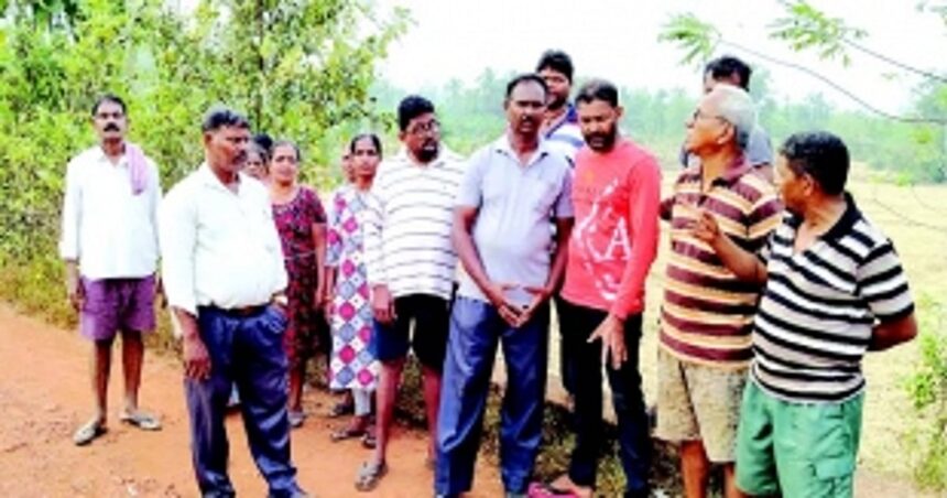 Sanguem farmers in distress as govt fails to release water for crops, get canals cleaned