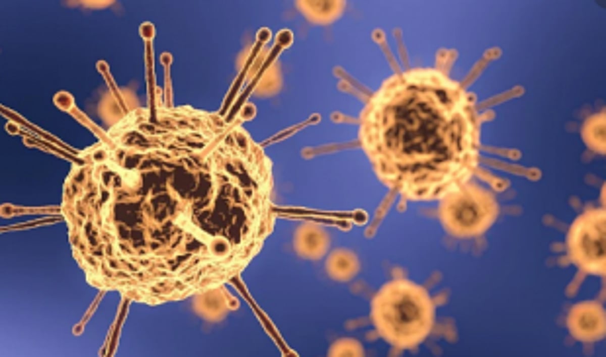 Sanguem gets third COVID-19 case