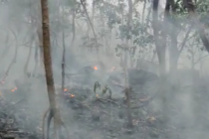 Sanguem hill fire contained after six-hour manual firefighting operation