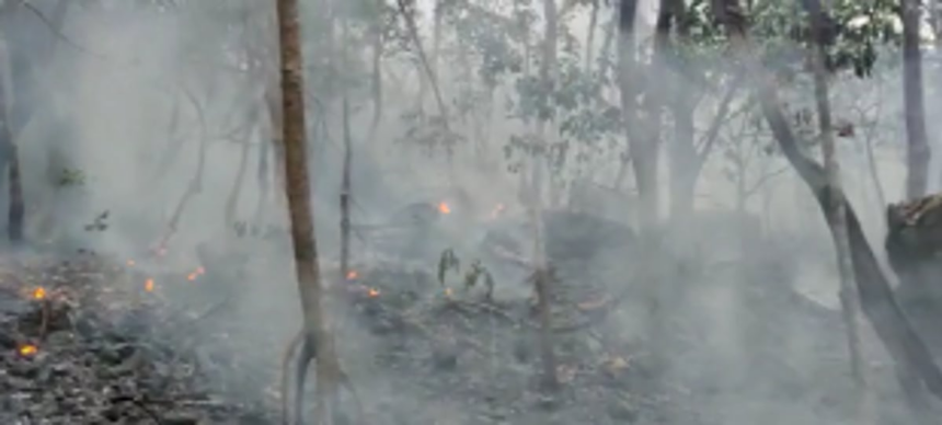 Sanguem hill fire contained after six-hour manual firefighting operation