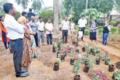 Sanguem municipality to revive rose garden