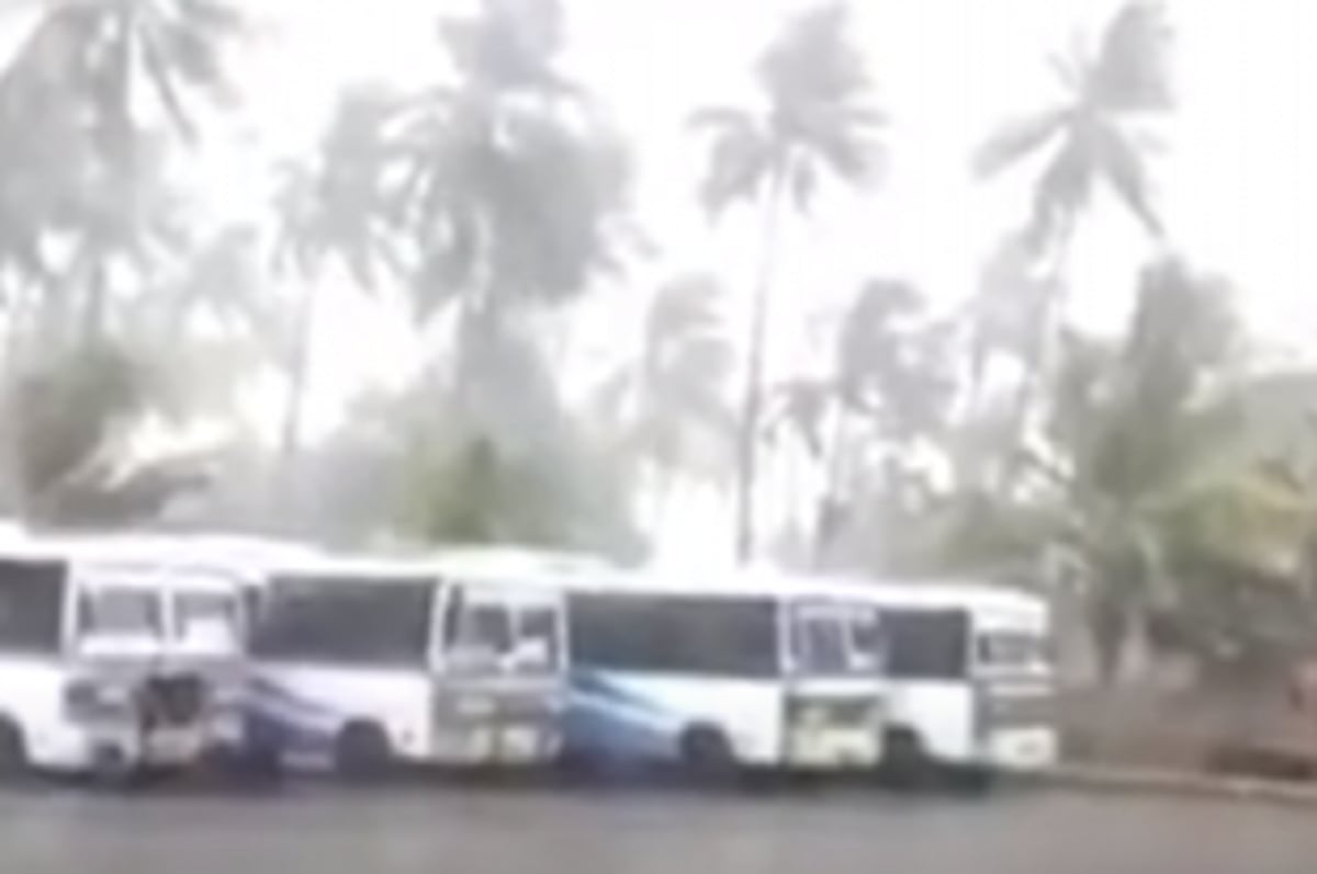 Sanguem receives light to moderate rainfall, tree uprooted at Sanquelim