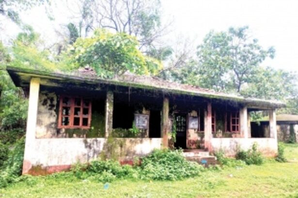 Sanguem’s dwindling primary education could shrink further